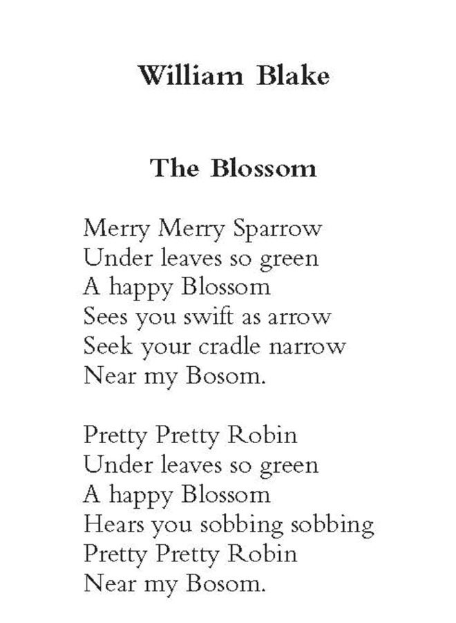 The Dover Anthology of Bird Poetry  - Image 3