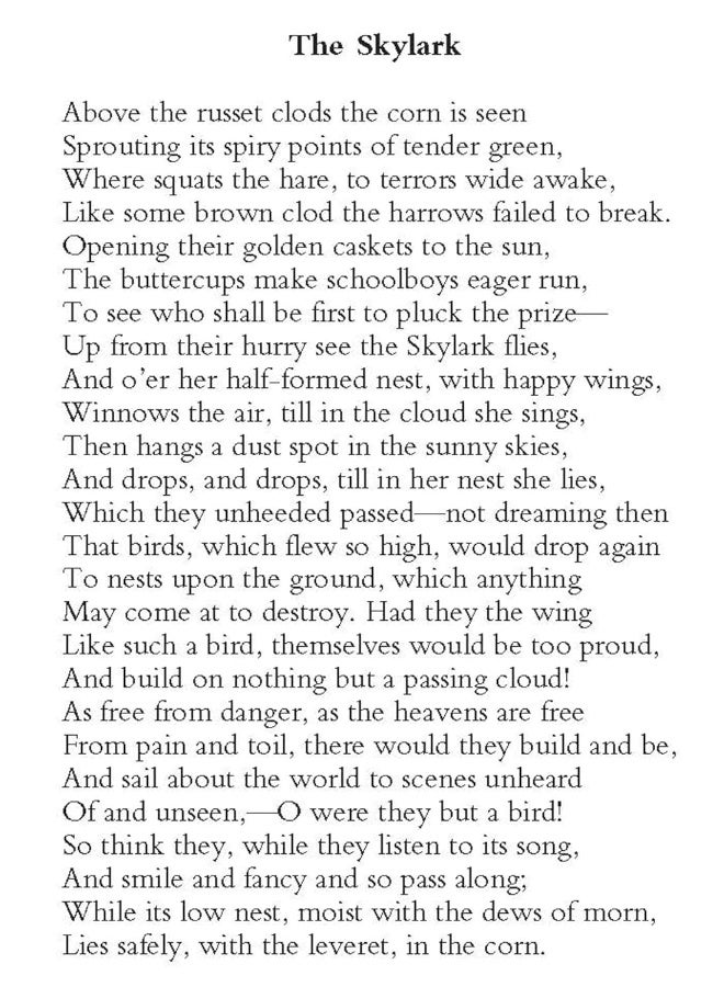 The Dover Anthology of Bird Poetry  - Image 4