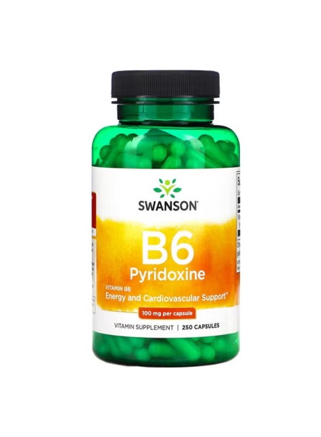 B6 Pyridoxine 100 mg 250 Capsules