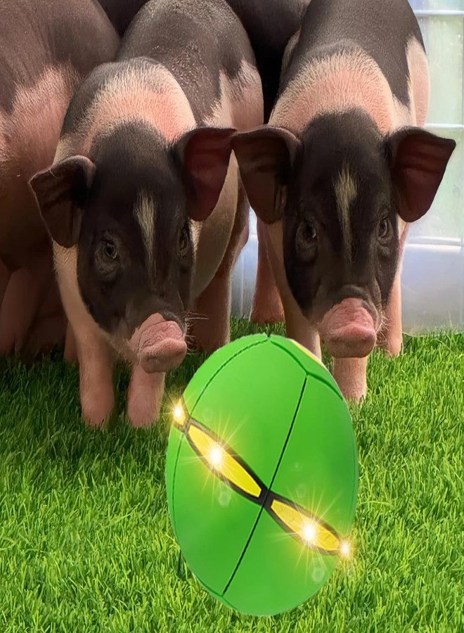 OOXYG Pig Toy - Toy for Pigs, Interactive Pig Flying Saucer Disc Ball Toys with 6 Lights for Mini Pigs, Enrichment Play for Pet Pigs Supplies Enjoyment and Fun-Green - Image 5