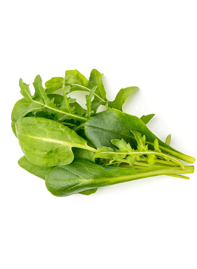 Click & Grow CLICK & GROW SALAD GREENS MIX SMART GARDEN REFILL