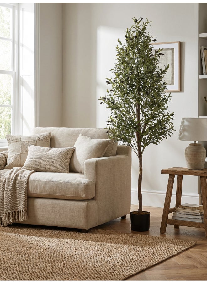 Noon East Olive 180cm (6 ft) Tall Artificial Tree with Pot | Floor Plant with Lifelike Design & Texture - Green | Decorative Natural Texture Tree for Home, Living Room, Study & Office spaces - Image 4