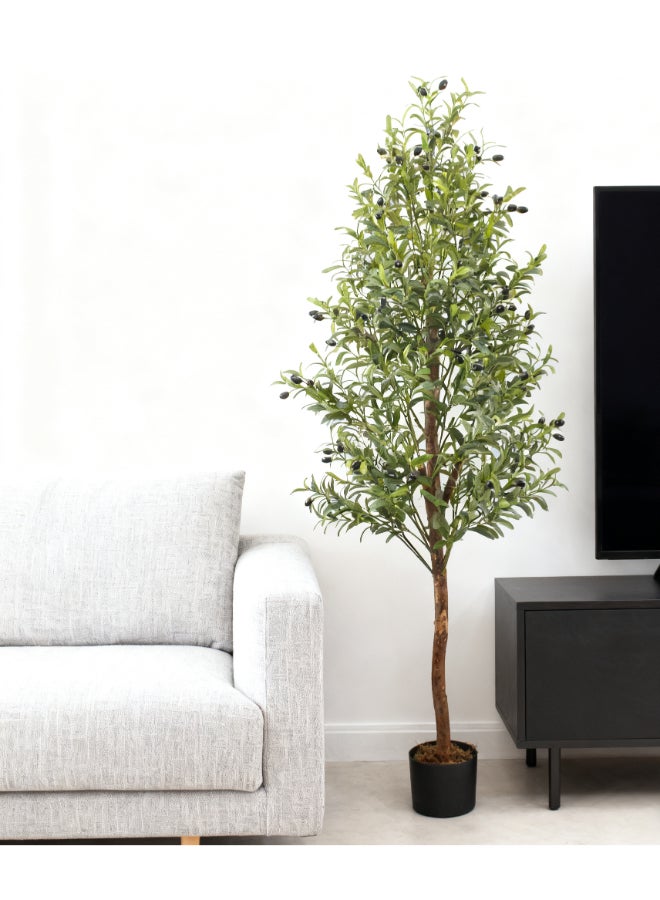Noon East Olive 180cm (6 ft) Tall Artificial Tree with Pot | Floor Plant with Lifelike Design & Texture - Green | Decorative Natural Texture Tree for Home, Living Room, Study & Office spaces - Image 1