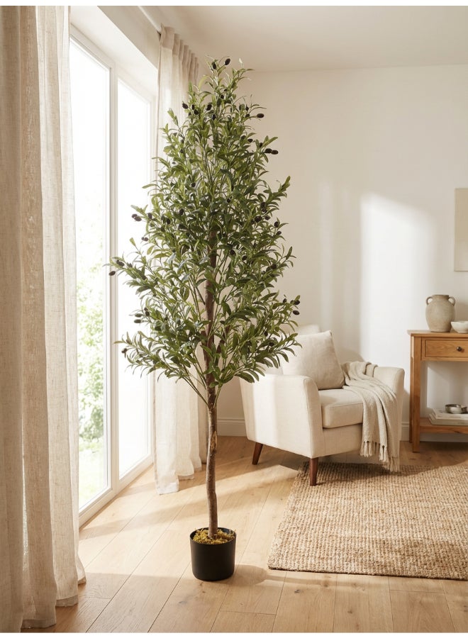 Noon East Olive 180cm (6 ft) Tall Artificial Tree with Pot | Floor Plant with Lifelike Design & Texture - Green | Decorative Natural Texture Tree for Home, Living Room, Study & Office spaces - Image 2
