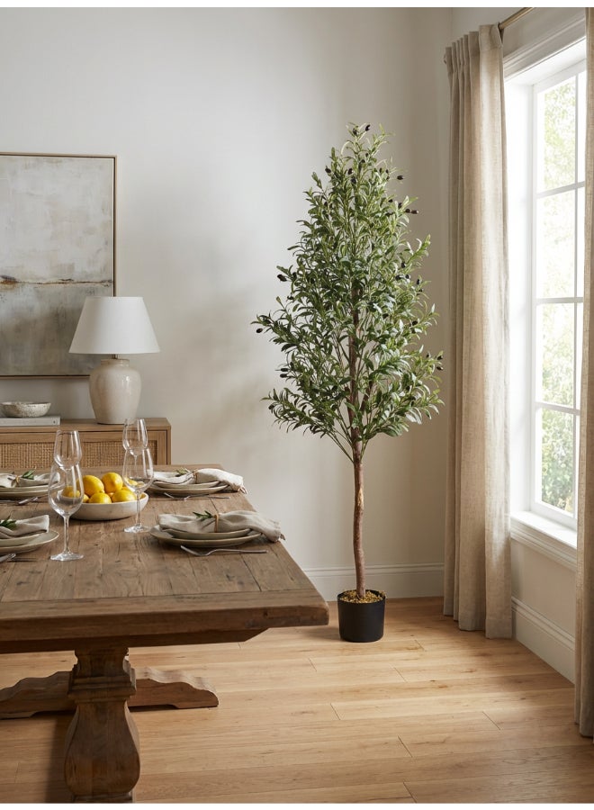 Noon East Olive 180cm (6 ft) Tall Artificial Tree with Pot | Floor Plant with Lifelike Design & Texture - Green | Decorative Natural Texture Tree for Home, Living Room, Study & Office spaces - Image 5