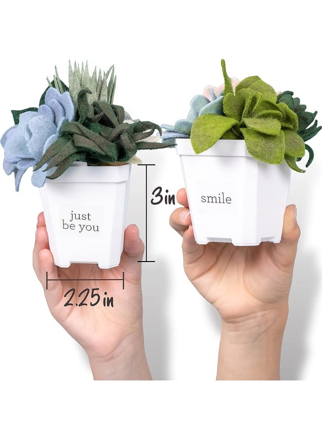 Hapinest Make Your Own Potted Felt Succulents | DIY Arts and Crafts Kit for Adults, Teens and Kids Girls Ages 6 7 8 9 10 11 12 Years Old and Up | Art Project Gifts | Hobbies for Women - Image 4