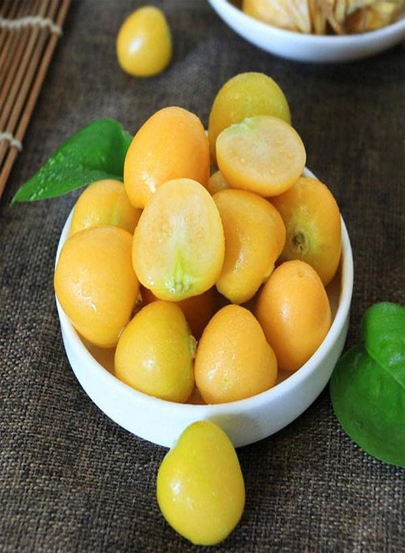 GGOOT 30pcs Physalis Peruviana Seeds Nutrient-rich Gooseberry Fruits for Outdoor Planting Mature In Autumn Decorate Home Garden - Image 3