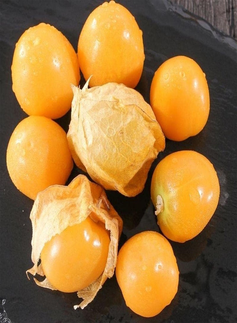 GGOOT 30pcs Physalis Peruviana Seeds Nutrient-rich Gooseberry Fruits for Outdoor Planting Mature In Autumn Decorate Home Garden - Image 1