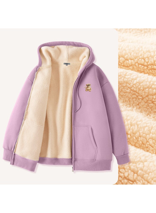 Flying in the snow Heavyweight Faux Shearling Cardigan Sweatshirt For Women, Autumn/winter Fleece-lined Design, Korean-style Minimalist Loose-fit Jacket For Petite Figures - Image 2