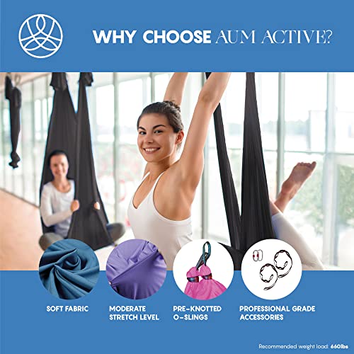 aum active Aerial Silk Yoga Hammock & Swing for Home, Inversion Exercises, Starter Kit for All Levels - Durable with Extension Straps, Carabiners, and Pose Guide - Image 4