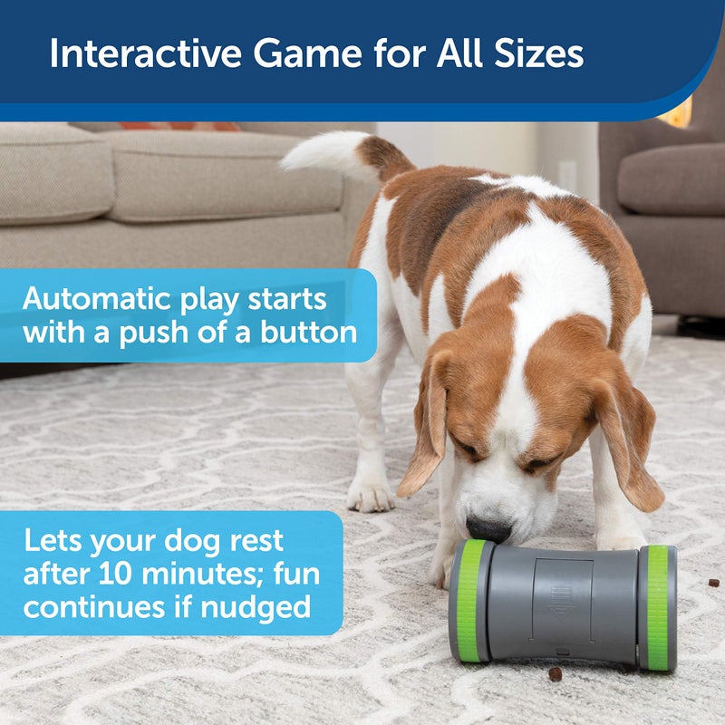 PetSafe Kibble Chase Interactive Dog Toy - Slow Feeder - Electronic Treat Dispenser - Perfect for Small, Medium, and Large Dogs - Image 4