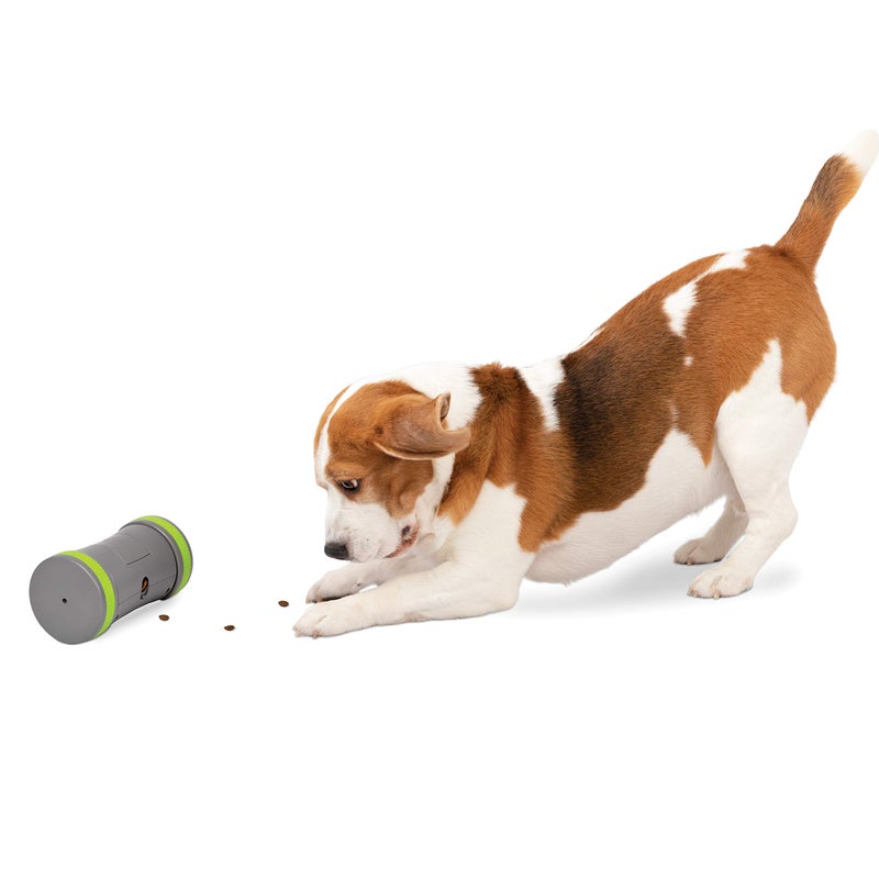 PetSafe Kibble Chase Interactive Dog Toy - Slow Feeder - Electronic Treat Dispenser - Perfect for Small, Medium, and Large Dogs - Image 1