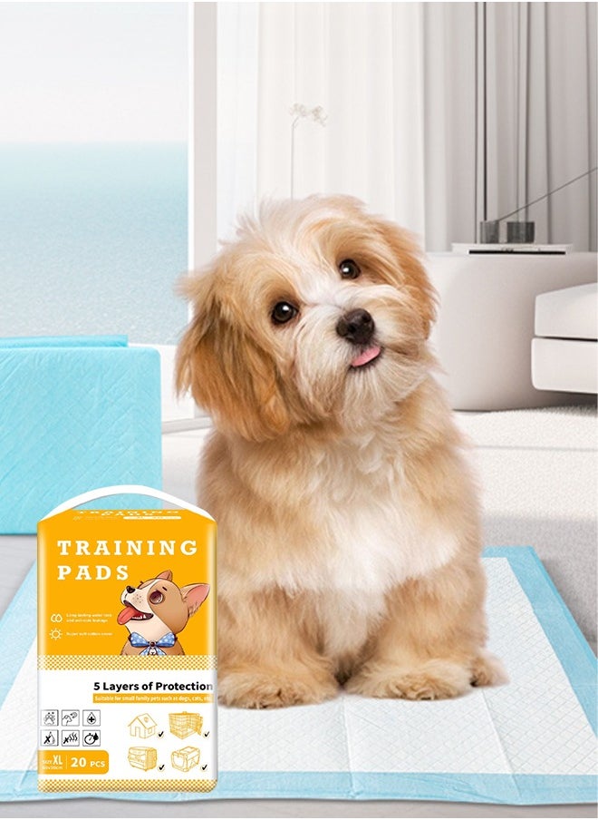 Occuwzz - Puppy Pads Pee Pads For Dogs Ultra Absorbent Potty Pads For Dogs Training Pads For Dogs(XL 60*90/20 pieces) - Image 1
