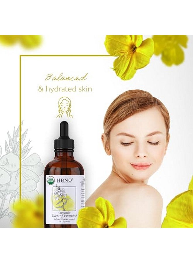 hbno Organic Evening Primrose Oilhuge 4 Oz (120Ml) Value Sizeusda Certified Organic Evening Primrose Oil Cold Pressed Carrier Oil For Face Body Lips Nails Shampoo & Conditioner. - Image 3
