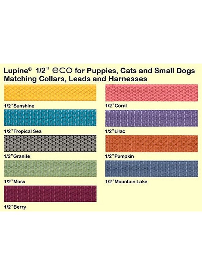 Lupine Eco by Lupine 1/2-Inch Recycled Fiber Collar, Adjustable for 10 to 16-Inch Small Dogs, Moss - Image 3