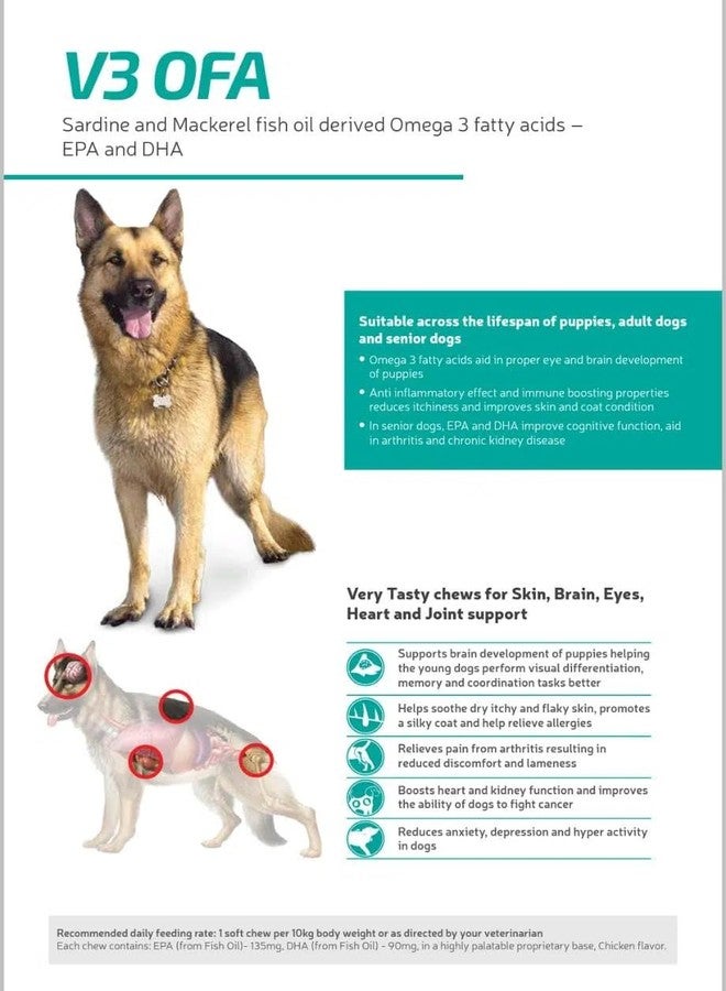 FOR YOUR PETS أقراص V3 OFA لدعم صحة الجلد والقلب والدماغ والمفاصل - زيت سمك السردين والماكريل أوميغا 3 للكلاب، أقراص V3 OFA أوميغا 3 طرية بنكهة الدجاج قابلة للمضغ للكلاب، تحتوي على EPA وDHA - Image 2