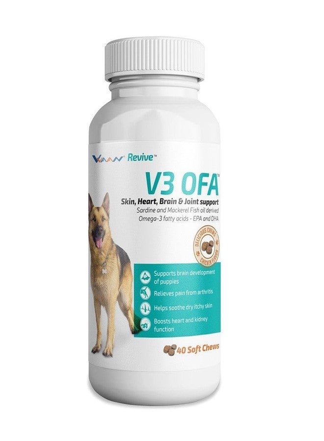 FOR YOUR PETS أقراص V3 OFA لدعم صحة الجلد والقلب والدماغ والمفاصل - زيت سمك السردين والماكريل أوميغا 3 للكلاب، أقراص V3 OFA أوميغا 3 طرية بنكهة الدجاج قابلة للمضغ للكلاب، تحتوي على EPA وDHA - Image 1