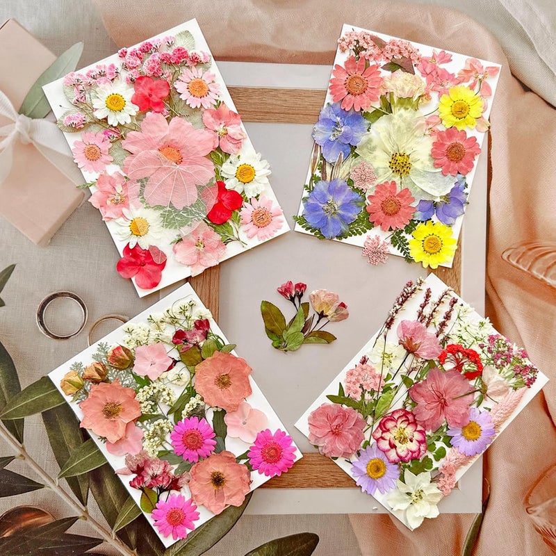 MIKIYA 90Pcs Pink Dried Pressed Flowers for Resin Molds, Assorted Real Natural Bulk Dry Floral Leaves for DIY Art Crafts, Epoxy Jewelry, Candle, Soap Making, Nails Decors Gifts - Image 3
