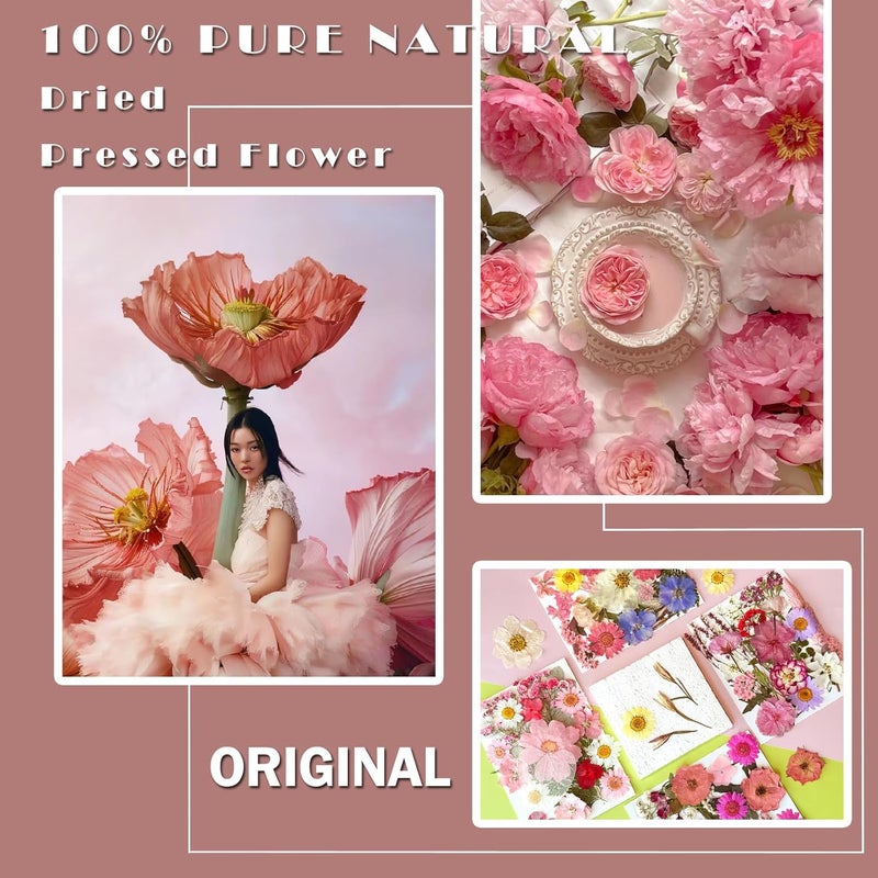 MIKIYA 90Pcs Pink Dried Pressed Flowers for Resin Molds, Assorted Real Natural Bulk Dry Floral Leaves for DIY Art Crafts, Epoxy Jewelry, Candle, Soap Making, Nails Decors Gifts - Image 2