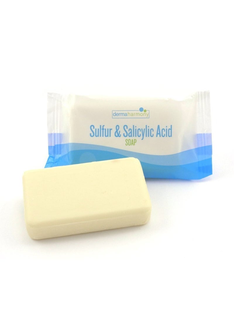 Dermaharmony - Dermaharmony Sulfur and Salicylic Acid Bar Soap - 3.7 oz (1 Bar) - Image 1