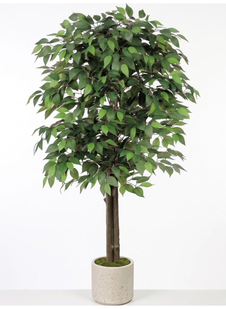 Zanotta Artificial Ficus Tree,Fake Ficus Tree in Plastic Nursery Pot,Faux Plant for Home Living Decor - Image 5