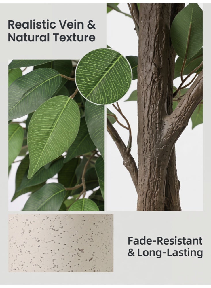 Zanotta Artificial Ficus Tree,Fake Ficus Tree in Plastic Nursery Pot,Faux Plant for Home Living Decor - Image 4
