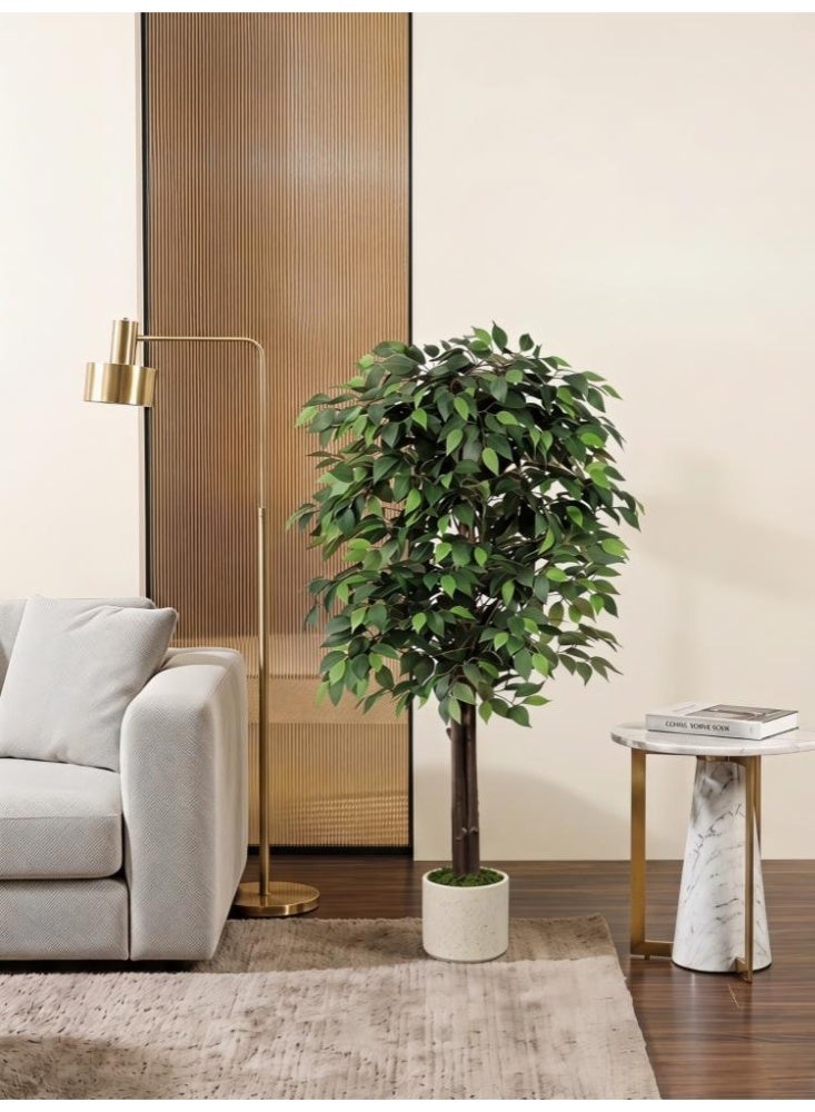 Zanotta Artificial Ficus Tree,Fake Ficus Tree in Plastic Nursery Pot,Faux Plant for Home Living Decor - Image 1