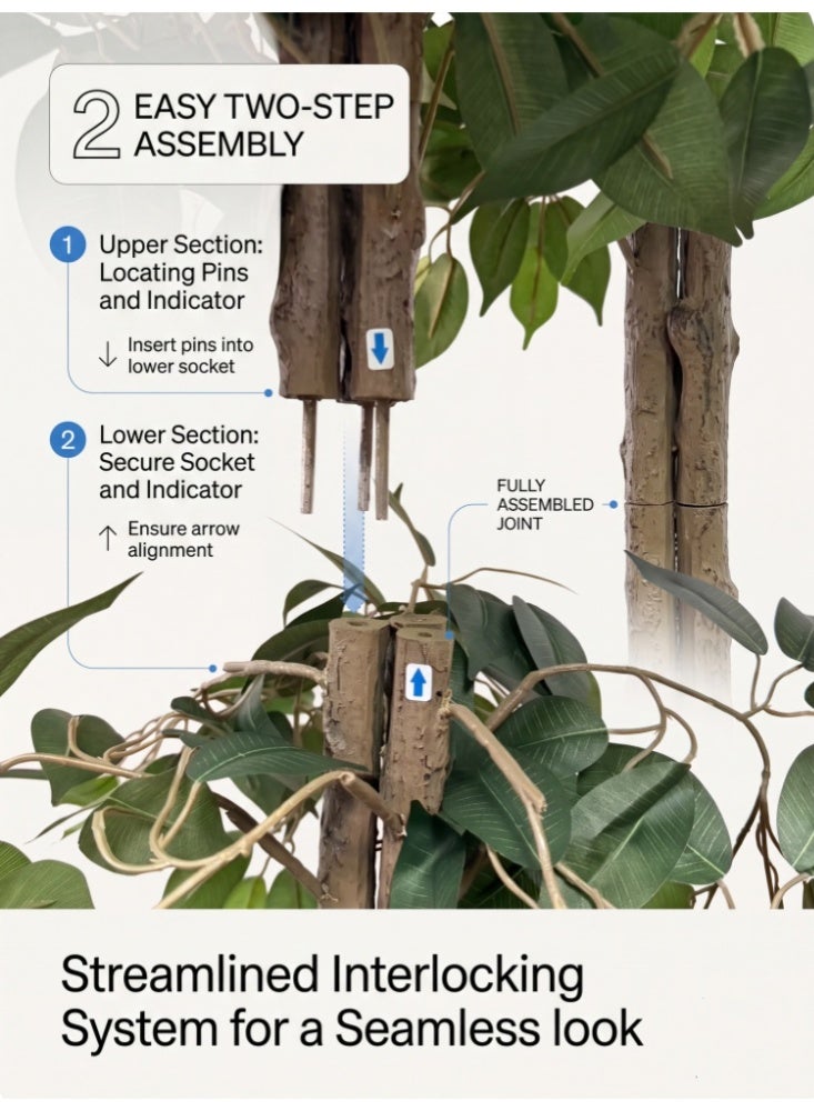 Zanotta Artificial Ficus Tree,Fake Ficus Tree in Plastic Nursery Pot,Faux Plant for Home Living Decor - Image 3