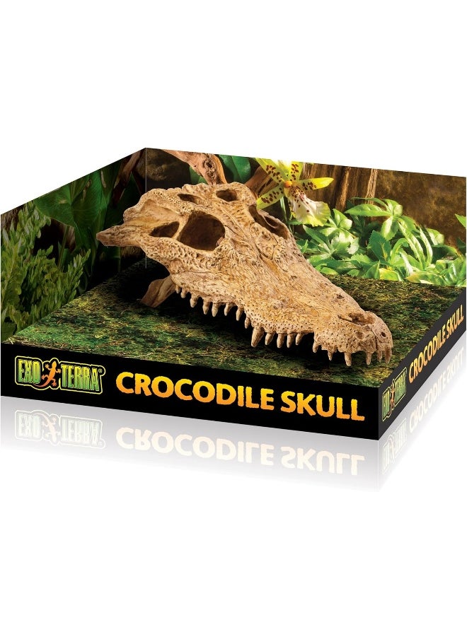 Exo Terra Exo Terra Crocodile Skull - Decor For Terrarium Multi  - Image 4