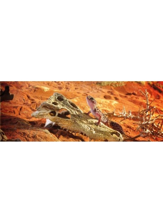 Exo Terra Exo Terra Crocodile Skull - Decor For Terrarium Multi  - Image 2