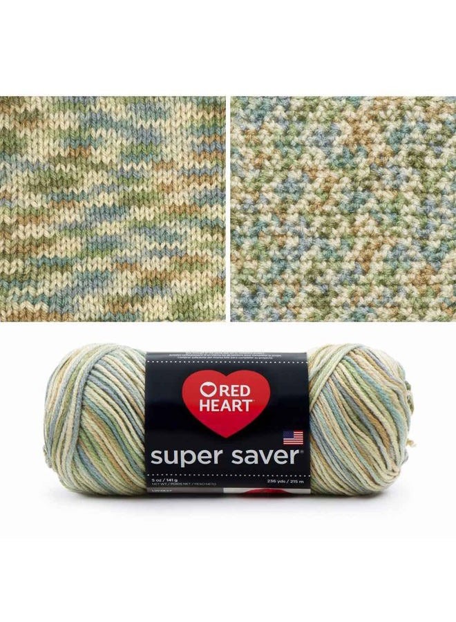 RED HEART Super Saver Yarn, Aspen - Image 1