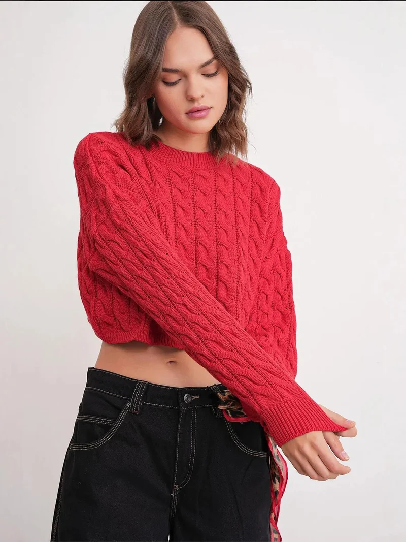 Mixray Red Mixray Cable Knit Pattern Crew Neck Sweater for Women | Best Price UAE