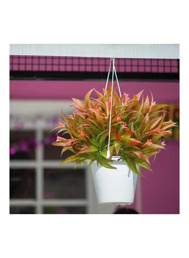 NIBEMINENT 4-Piece Spray Fake Morning Glory Fern Bouquet Multicolour - Image 5