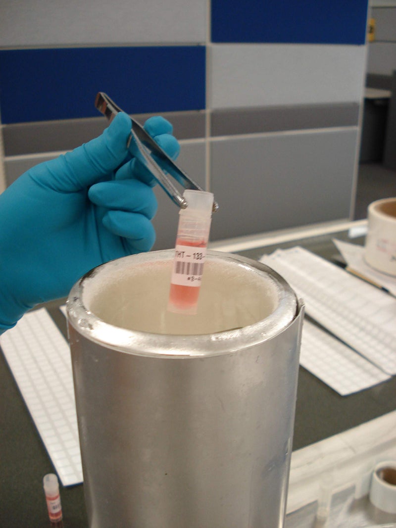 Brady Authentic (M21-500-461) Extreme-Temp Resistant Label for Lab, Equipment, and Asset Tracking Labeling, Black on White- For M210, M210-LAB, M211, BMP21-PLUS and BMP21-LAB Printers, .5" W, 21' L - Image 4