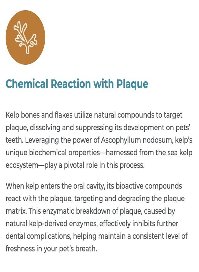 Indigenous Pet Organic Sea Kelp Flakes for Cats - 2.54 Ounce | Natural Dental Care & Fresh Breath Support | Reduces Plaque & Tartar | Boosts Immune, Digestive & Thyroid Health - Image 2