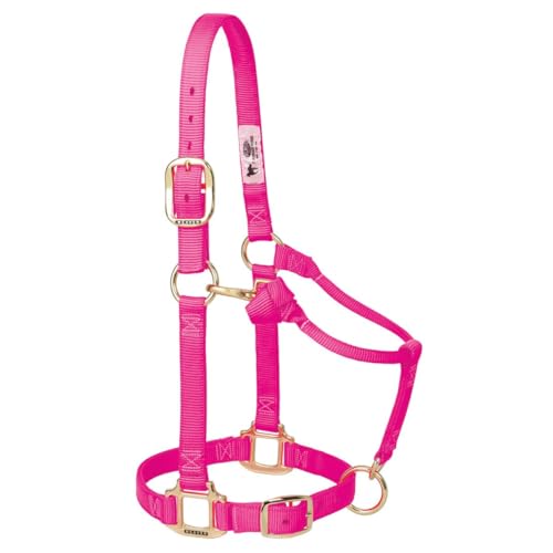 Weaver Leather Original Adjustable Nylon Horse Halter, Weanling/Pony, Diva Pink - Image 1