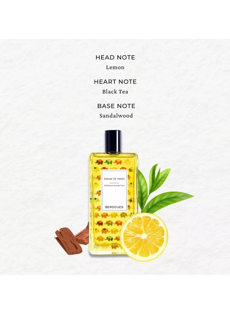 BERDOUES Assam Of India Cologne Grand Cru EDP 100ml - Image 4
