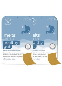 WELLBEING NUTRITION Melts Healthy Gut Pack Of 2  - Image 1