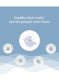 WELLBEING NUTRITION Melts Healthy Gut Pack Of 2  - Image 2