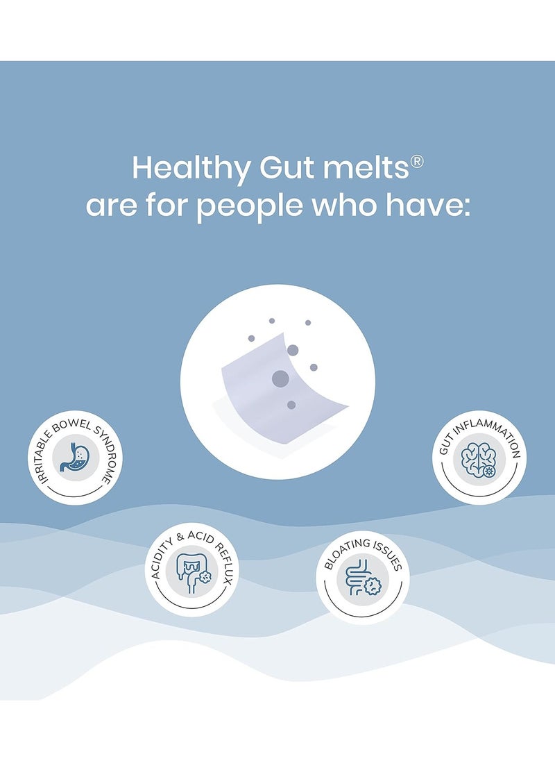 WELLBEING NUTRITION Melts Healthy Gut Pack Of 2  - Image 2