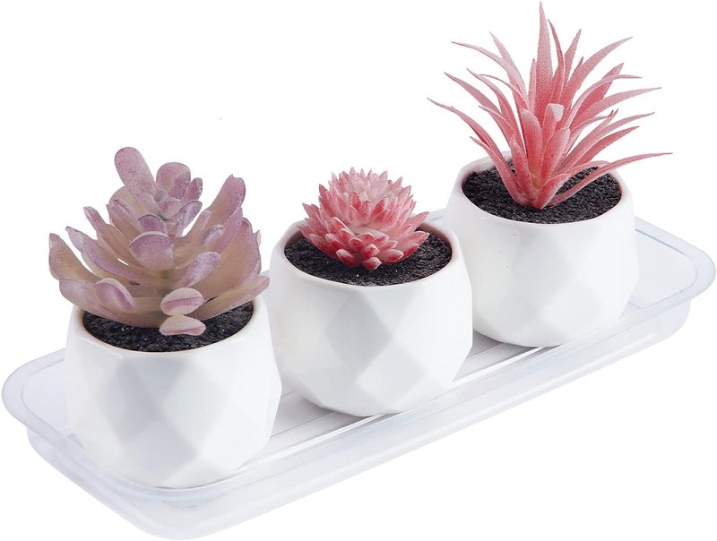 Idyllize Store Rectangular 5 Pieces of 9 by 4 Inch Clear Thick Plastic Heavy Duty Sturdy Plant Saucer Drip Trays for pots, Window Sills and Window Shelf (8.5"x3.5") - Image 3