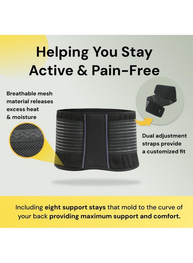 BraceUP BraceUP Back Support Belt for Men and Women - Breathable Waist Lumbar Support Lower Back Brace for Sciatica, Herniated Disc, Scoliosis Lower Back Pain Relief, with Dual Adjustable Straps (XXL)  - Image 1
