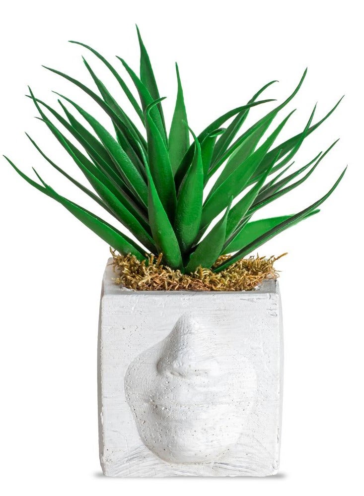 نبات الصبار الاصطناعي في وعاء أبيض بتصميم وجه معاصر لتزيين المنزل والمكتب وديكور الرف 30 * 20 سم. - Image 1