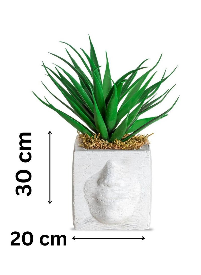 نبات الصبار الاصطناعي في وعاء أبيض بتصميم وجه معاصر لتزيين المنزل والمكتب وديكور الرف 30 * 20 سم. - Image 2