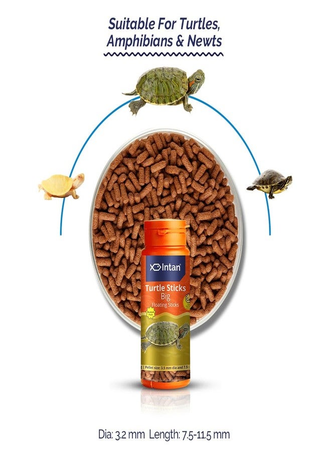 Intan Turtle Sticks (Big 3.2mm x 7.5-11.5mm Floating) | 45gm - Highly Nutritious Ornamental Fish Food for Turtles, Amphibians & Newts | Growel Feeds - Image 2