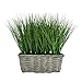Elements Grass in Gray Willow Pot for Bathroom Farmhouse Faux Greenery Tabletop Centerpiece Mantel Office Desk Kitchen - Image 2