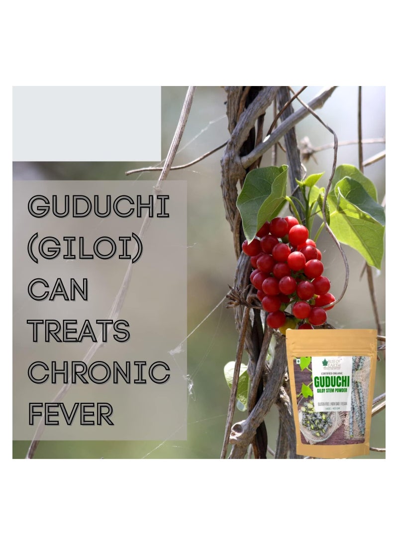 BLISS OF EARTH 453GM Organic Guduchi Powder For Diabetes, Giloy Powder Organic For Eating Immunity Building Pack of 3  - Image 3
