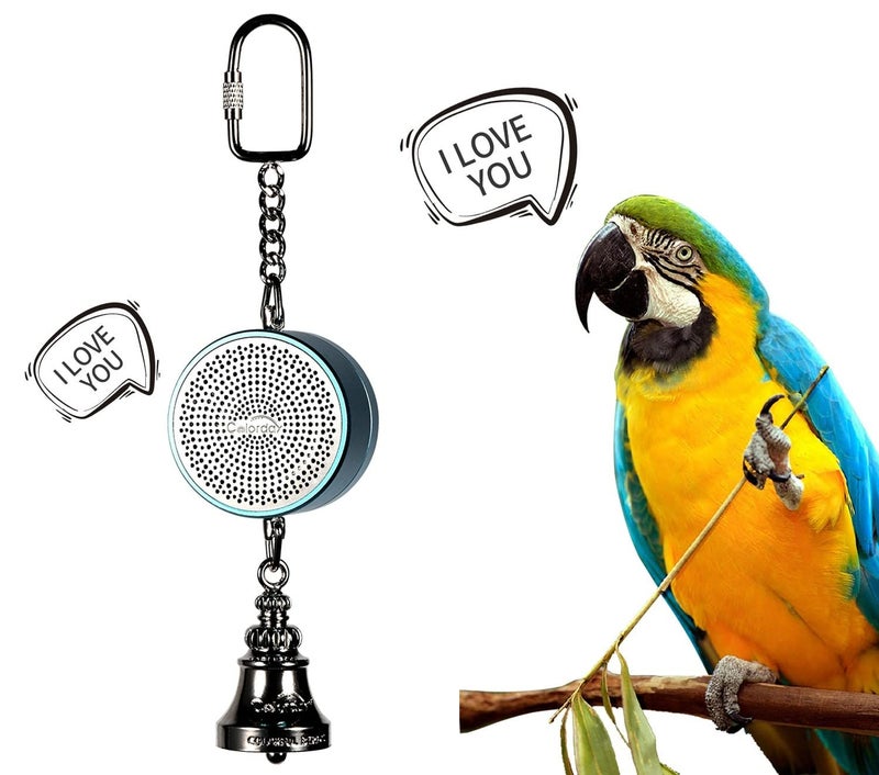 Colorday Bird Toys Parrot Talking Coach Interactive Voice Bell for Parakeet African Grey Parrots Quaker Cockatiel Conure Blue - Image 2