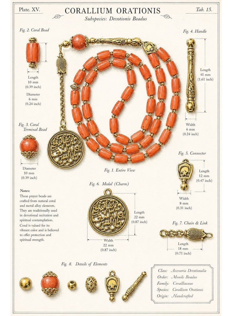 TranquilBeads Processed Red Coral Tasbih 33 Beads | Certified Coral Prayer Beads | Individually Certified, Scan to Verify | Elegant Gift Box | Islamic Gift for Men - Image 3