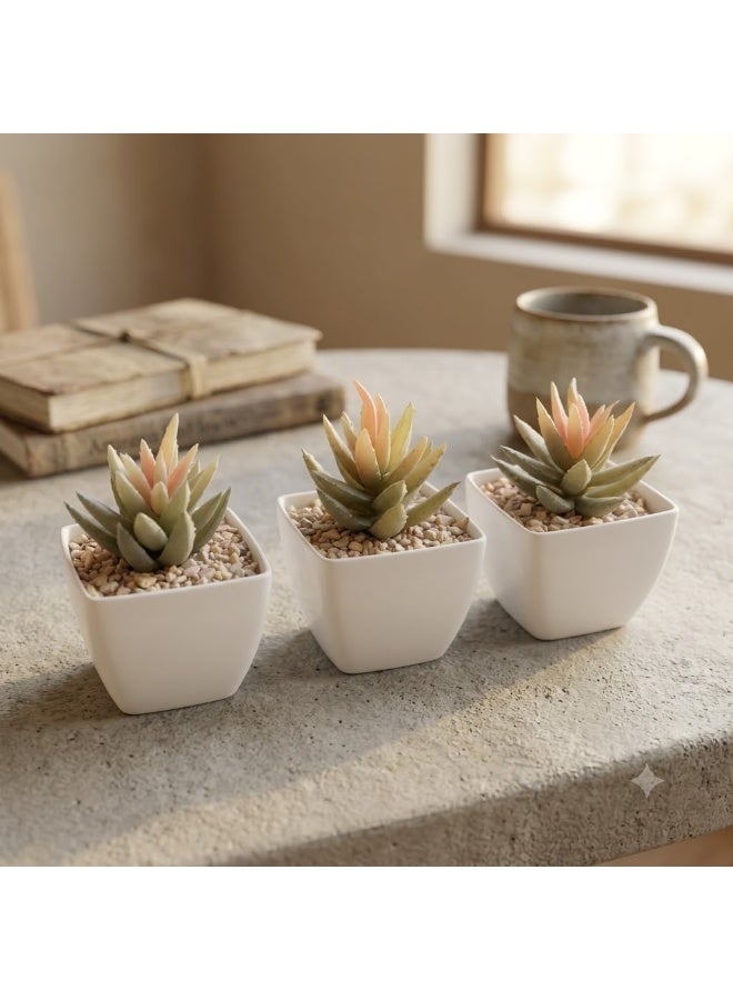 Miniature artificial succulent plant set in elegant white pots (3 pieces) – a modern, natural touch for home and office - Image 2